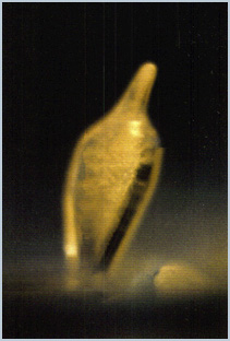 <IMG SRC="Healing with water, what are electrons, electron water machines, oxygenated water"ALT